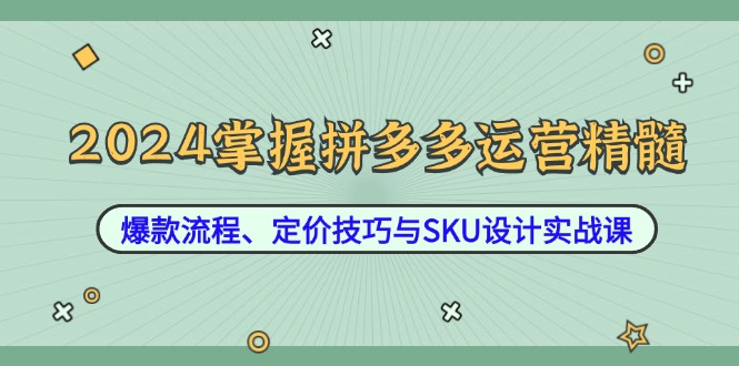 2024掌握拼多多运营精髓：爆款流程、定价技巧与SKU设计实战课-搞钱利器