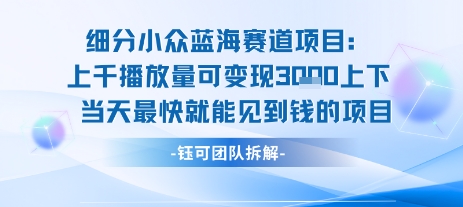 小众蓝海赛道项目：当天变现1k+适合新手操作 +适合长期玩-搞钱利器