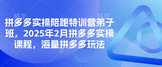 拼多多实操陪跑特训营弟子班，2025年2月拼多多实操课程，海量拼多多玩法-搞钱利器