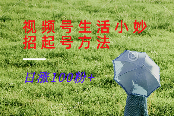 视频号生活小妙招分享赛道， 起号涨粉新方法，日涨100粉-搞钱利器
