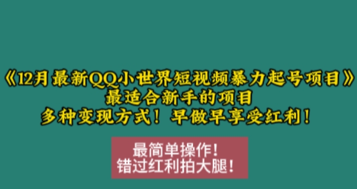 12月最新QQ小世界短视频暴力起号项目，最适合新手的项目，多种变现方式-搞钱利器