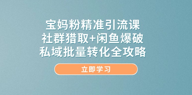 宝妈粉精准引流课，社群猎取+闲鱼爆破，私域批量转化全攻略-搞钱利器