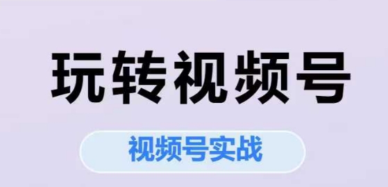 玩转视频号，视频号实战系列课-搞钱利器