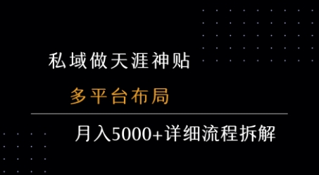 私域做天涯神贴 多平台布局 月入5k+详细流程拆解-搞钱利器