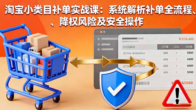 淘宝小类目补单实战课：系统解析补单全流程、降权风险及安全操作-搞钱利器