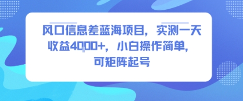 风口信息差蓝海项目，实测一天收益4k+，小白操作简单，可矩阵起号-搞钱利器