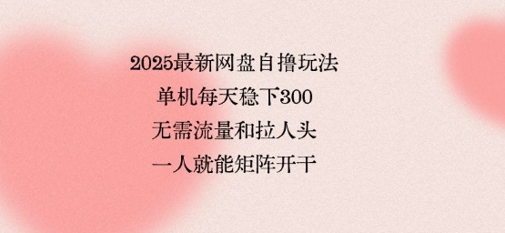 2025最新网盘自撸玩法，单机每天稳下3张，无需流量和拉人头，一个人就可轻松矩阵，全网独一份【揭秘】-搞钱利器