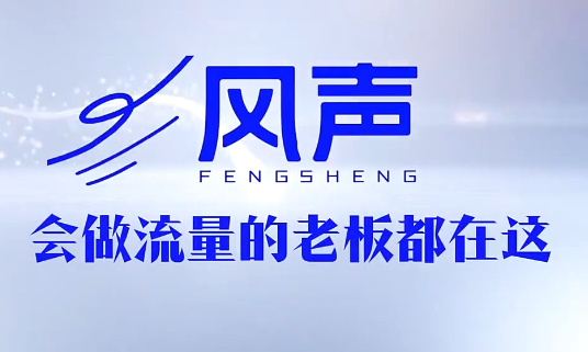 董十一·风声短视频AI获客年度会员-搞钱利器