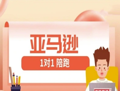 亚马逊1对1陪跑课(FBA/FBM精铺)跨境亚马逊教程-搞钱利器