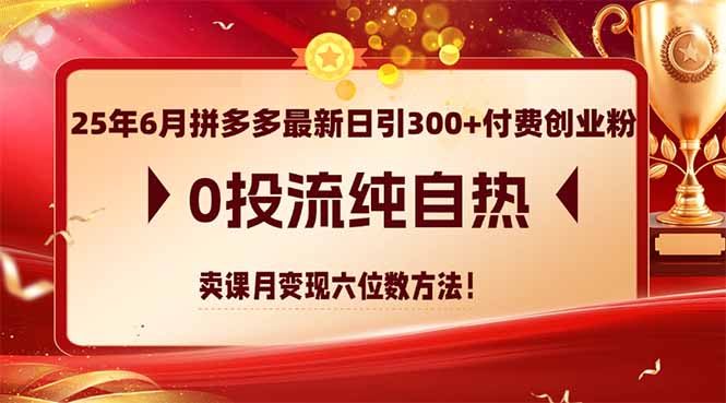 25年6月拼多多最新日引300+付费创业粉，0投流纯自热 卖课月变现六位数方法-搞钱利器
