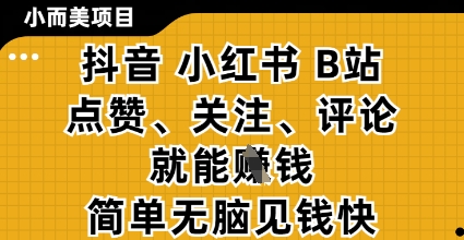 小而美的项目，抖音小红书B站视频点赞、关注、评论就能挣钱，简单无脑立见收益，妥妥的零撸项目【揭秘】-搞钱利器