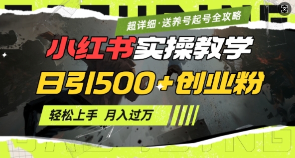 2月小红书最新日引500+创业粉实操教学【超详细】小白轻松上手，月入1W+，附小红书养号起号SOP-搞钱利器