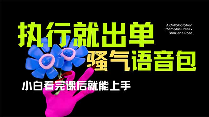 爆火全网的开车导航骚气语音包,只要执行就出单，小白看完课程就能实操…-搞钱利器