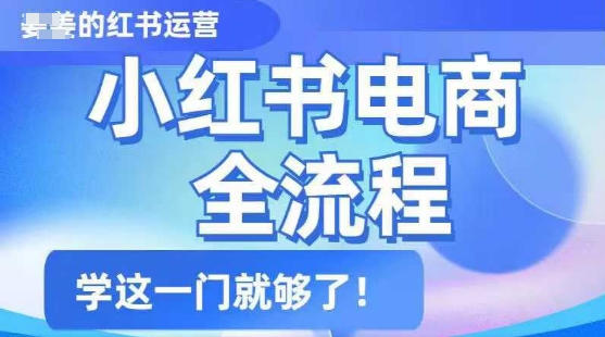 小红书电商全流程，精简易懂，从入门到精通，学这一门就够了-搞钱利器