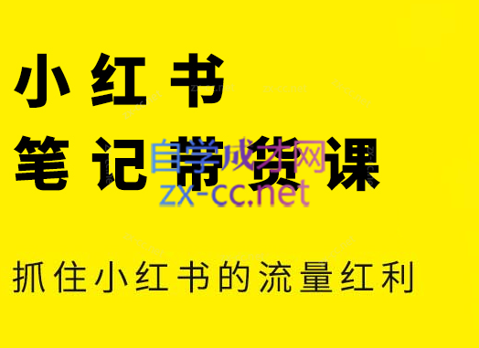 张宾·小红书笔记带货课(更新5月)-搞钱利器