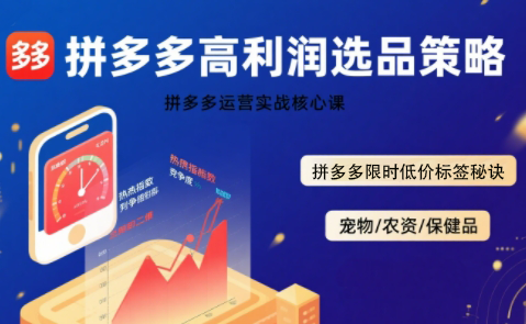 久号老师·拼多多选品暴利技术实战课-搞钱利器
