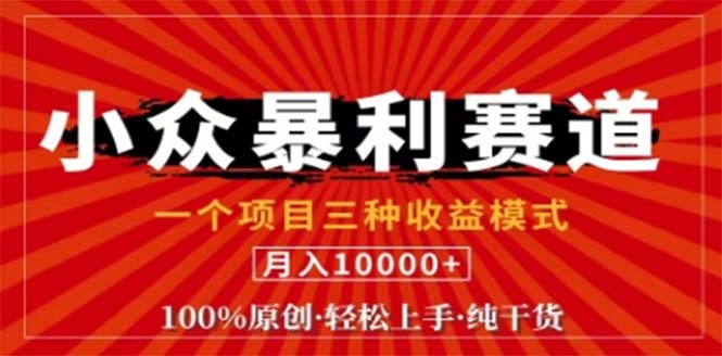 视频号最新爆火赛道，三种可收益模式，0粉新号条条原创条条热门 日入1000+-搞钱利器