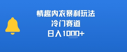 情趣内衣暴利玩法，冷门赛道，日入1k+-搞钱利器