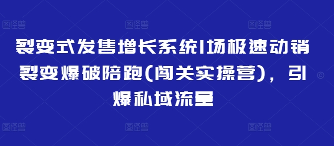 裂变式发售增长系统1场极速动销裂变爆破陪跑(闯关实操营)，引爆私域流量-搞钱利器