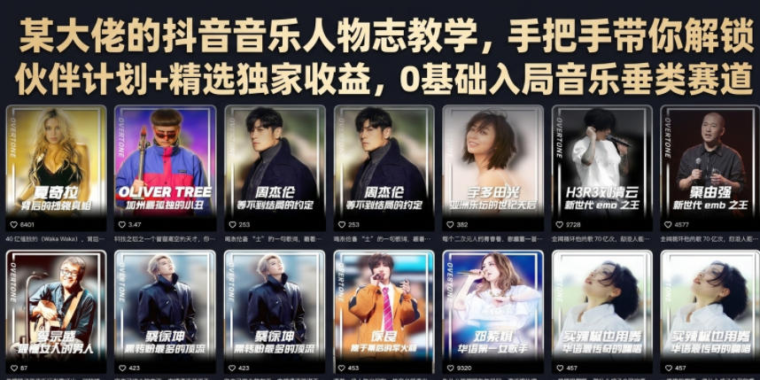 某大佬的抖音音乐人物志教学，手把手带你解锁伙伴计划+精选独家收益，0基础入局音乐垂类赛道-搞钱利器