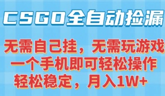 CSGO自动捡漏项目，最新独家玩法，一个手机可操作，新手小白轻松月入1W+，操作简单易上手【揭秘】-搞钱利器