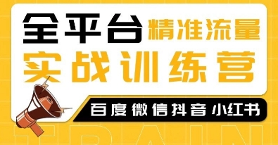 全平台精准流量实战训练营，百度微信抖音小红书SEO引流教程-搞钱利器