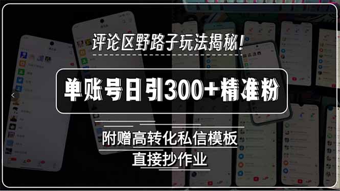 评论区野路子玩法揭秘！单账号日引300+精准粉，附赠高转化私信模板，直…-搞钱利器