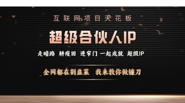 互联网项目天花板，超级合伙人IP，全网都在割韭菜，我来教你做镰刀【仅揭秘】-搞钱利器