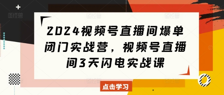2024视频号直播间爆单闭门实战营，视频号直播间3天闪电实战课-搞钱利器