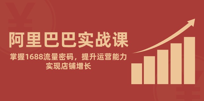 阿里巴巴实战课：掌握1688流量密码，提升运营能力，实现店铺增长-搞钱利器