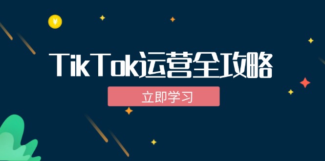 TikTok实战运营全攻略：从下载软件到变现，抖音海外版实操教程-搞钱利器