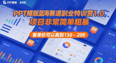 PPT模版蓝海赛道副业特训营1.0，项目非常简单粗暴，客单价可以高到150-200-搞钱利器