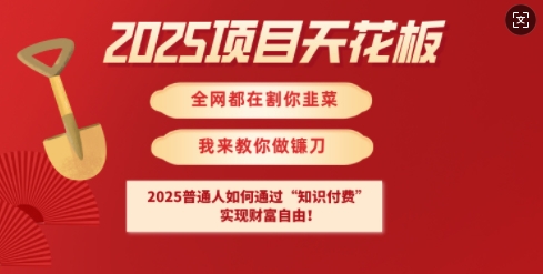 2025项目天花板普通人如何通过知识付费，实现财F自由【揭秘】-搞钱利器